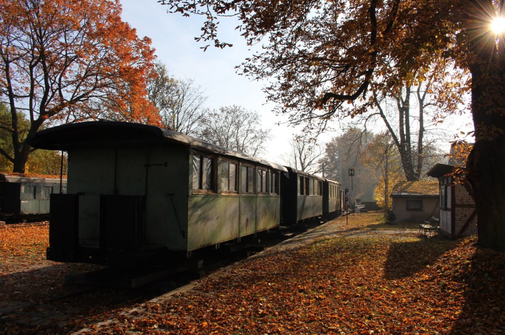 Straupitz,31.10.2015